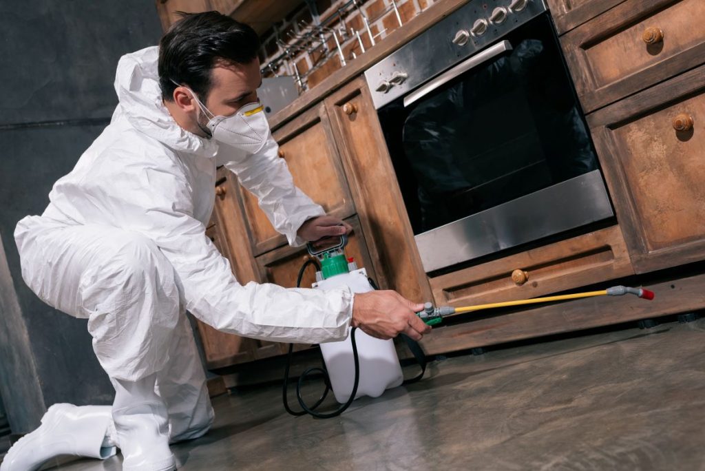 Customized pest control solutions tailored for homes and businesses