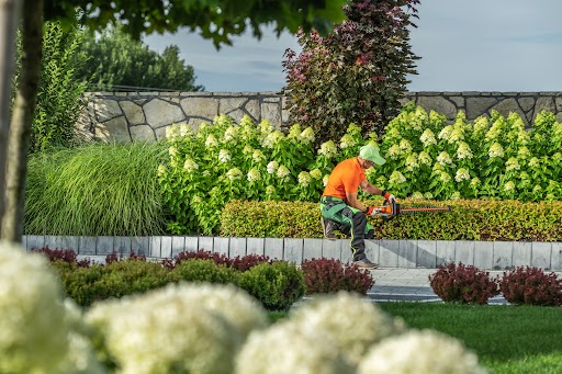 A professional trimming bushes to prevent wildlife from finding shelter